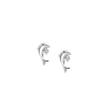 Dolphin CZ Earrings